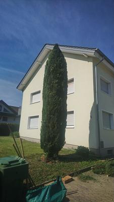 Christoph Knauer, Baum und Gartenarbeiten