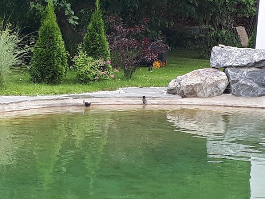 Thomas Schuler Gartengestaltung & Schwimmteiche GmbH