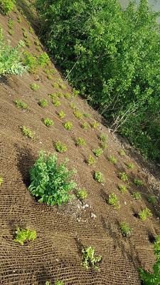 Barth Haus-Garten und Landschaftsservice