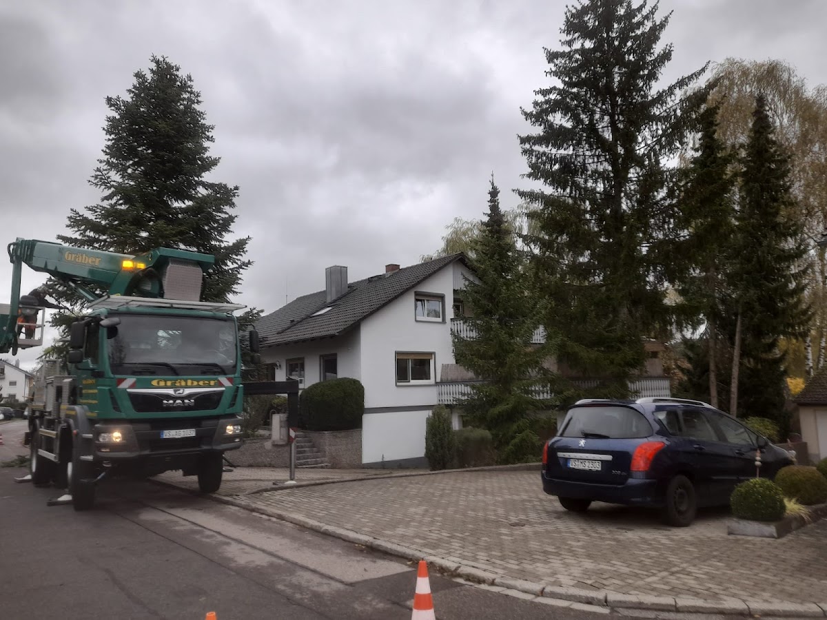 682e074739124