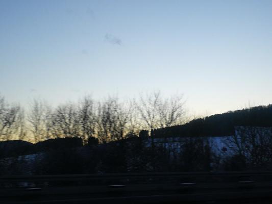 stefan bertsche garten- und landschaftsbau - home