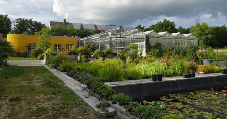 Wassergarten Lehmann