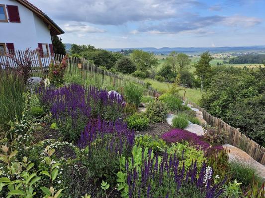 MoGa Moritz Garten- und Landschaftsbau