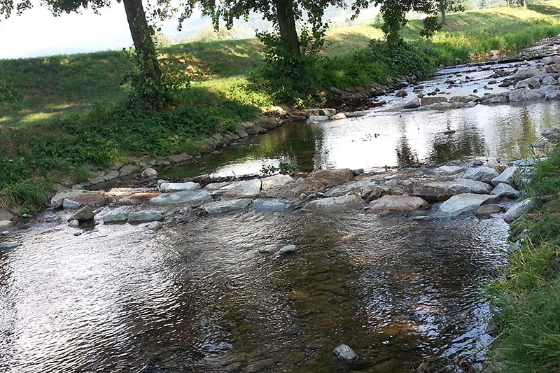 682e07994a878