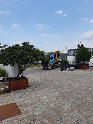Hoffmeier Garten und Landschaft