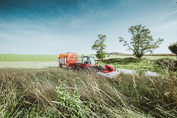 Rauber Landschaftspflege