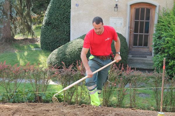 Blumen & Gärten Schalch AG I Gartenunterhalt I Baumpflege