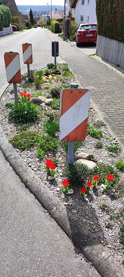 Verkehrsinsel naturnah