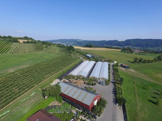 Semper Verde Pflanzenzentrum