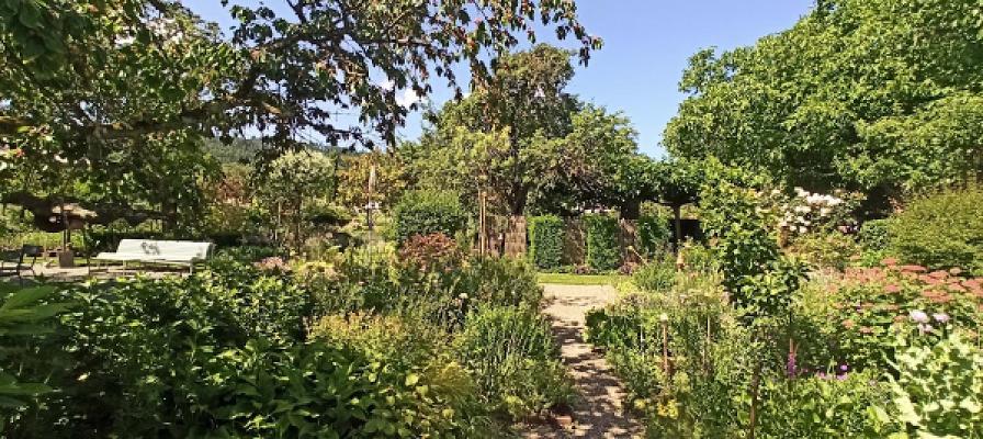 Garten und Freiraum