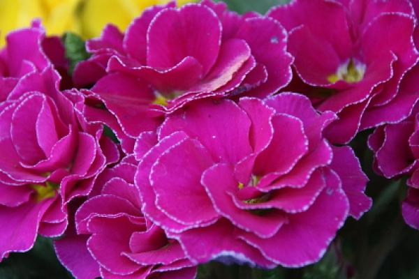 682dd74b09d46