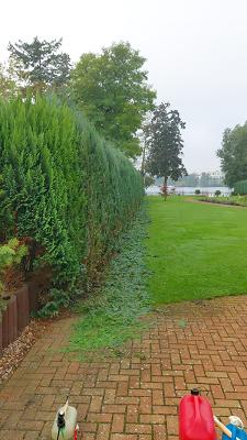 Baum und Gartenpflege Julian Matis/ Brennholzverkauf