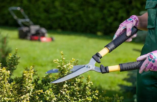 Arabella Garten-Design