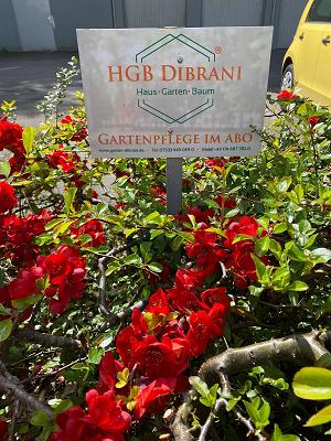 HGB Dibrani - Haus Garten Baum - Gartengestaltung Konstanz