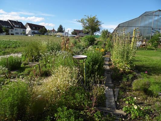 Pfiffikuss Kräutergarten Reichenau