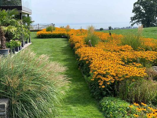 Untersee Gartenbau