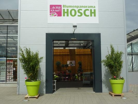 Blumenpanorama Hosch