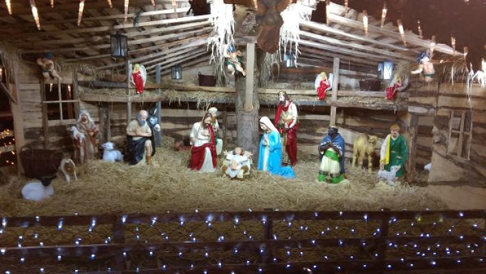 Sona Niemann Garten- u. Landschaftsbau Harald Niemann