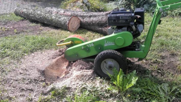 Baudienstleister Lausitz