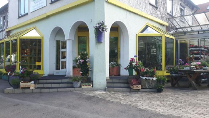 Blumen Grünschnabel