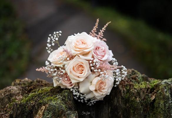 Blatt mit Stil - Martina Staiger Nachfolger - Floristik und Pflanzen