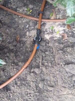 682dd76ada9de