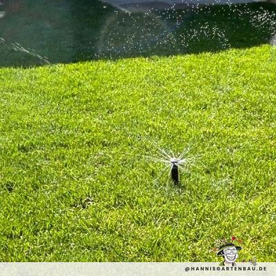 Hannis Gartengestaltung und Landschaftsbau