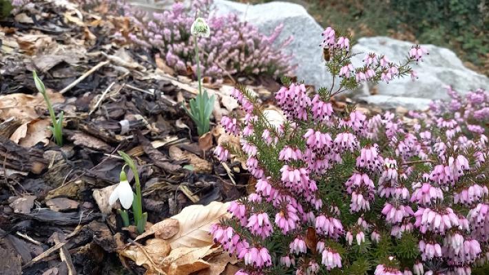 Grüne Finger Freiburg