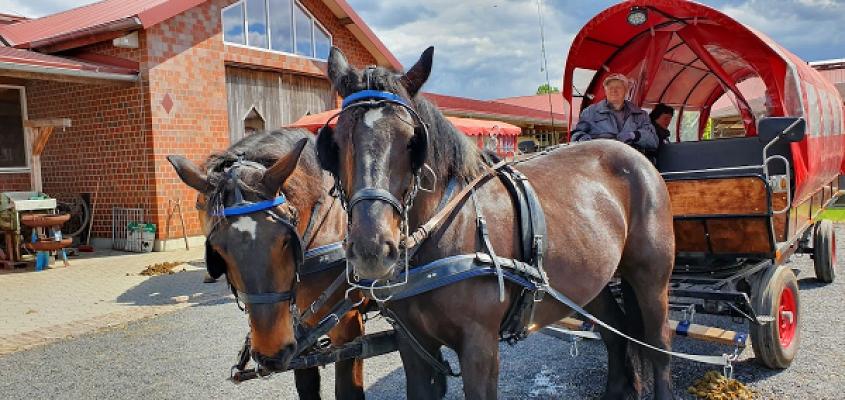 Brücker Agrar u. Landschafts GbR