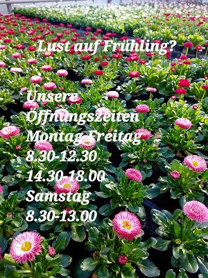 682e0b0a6729a