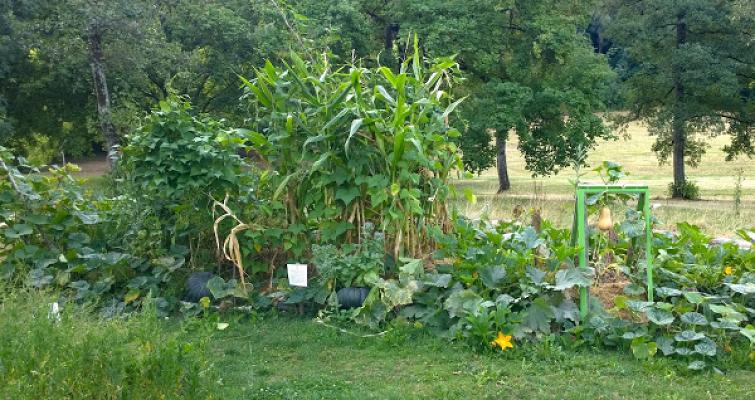Mit-Mach-Garten