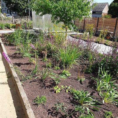 Schönsee Garten- und Landschaftsbau