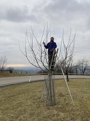Gartenbau Heckmann