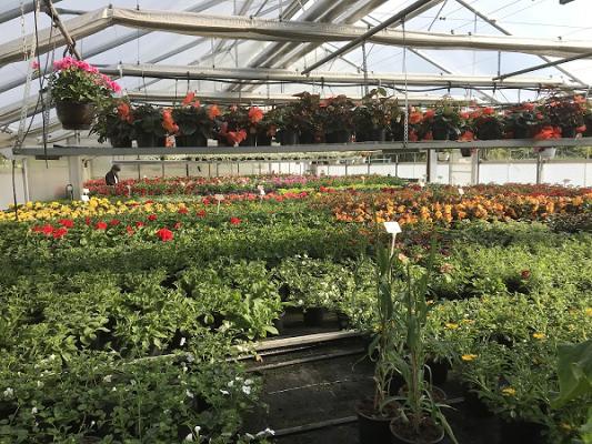 Hartmut Schreier Gartenbautechnik