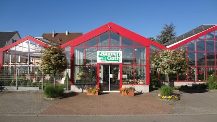 Blumen Güth Breisach