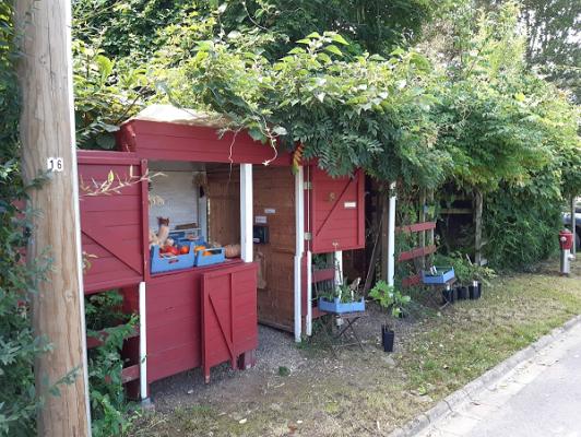 Gärtnerei meergrün