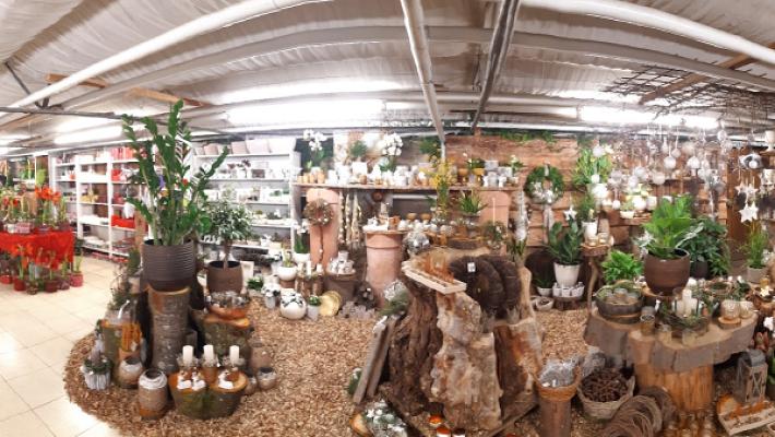 Kaltenbach KG Gärtnerei Blumenfachgeschäft