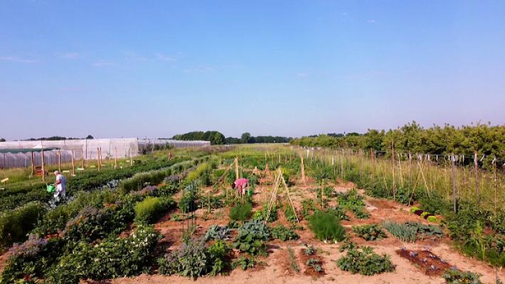 Grow-Your-Own Mietgärten