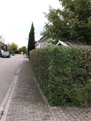 J. Rettich Gartenservice