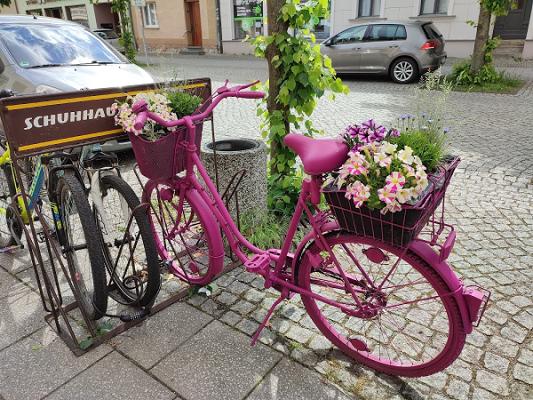 Garten-, Haus- und Tierbedarf Marlies Penner