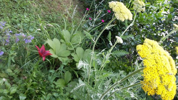 Gartenpflege und Ferienwohnung Petra Utz