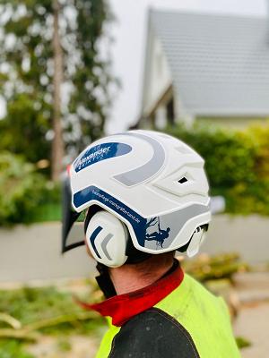 Baumpflege-Markgräflerland