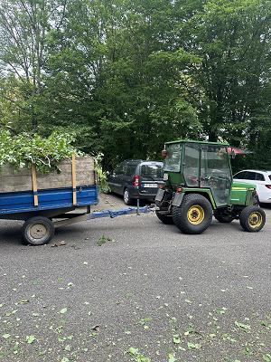 Scherer Garten + Landschaftsbau