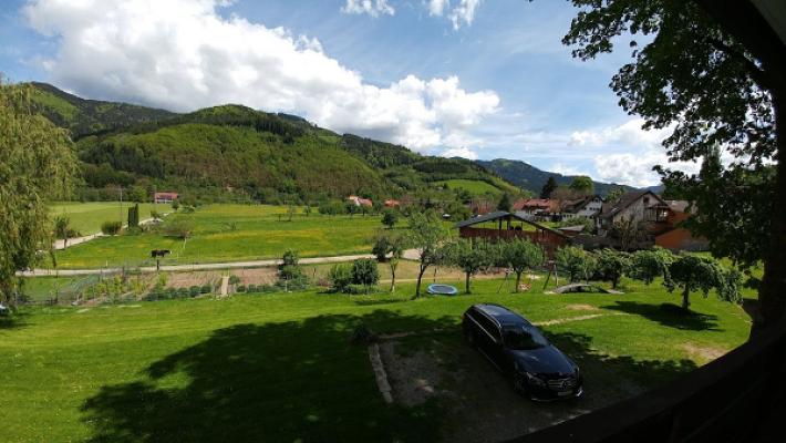 Wilhelm Schultis-Graf Baggerbetrieb/Landschafts- bau