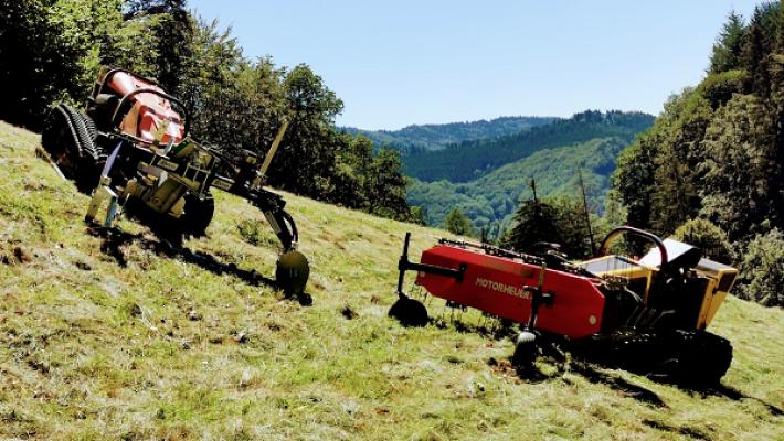 Landschaftspflege und Dienstleistungen Dold