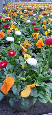 682e0cd606d54
