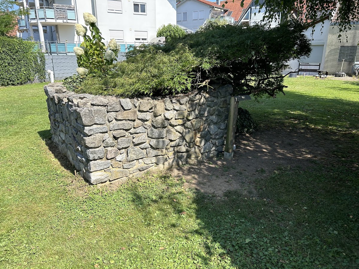 682e0d074c310