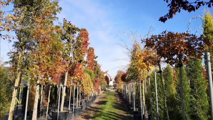 Toskana Garten Lothar Wahrer a.K.