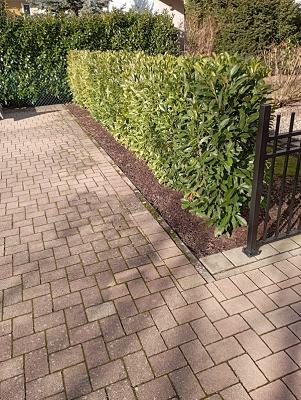 682e0d7e8181d