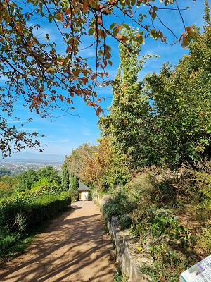 Hildegard von Bingen Garten